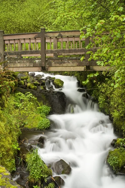 Wahkeena falls — Stockfoto