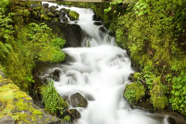 Wahkeena Falls — Stock Photo, Image