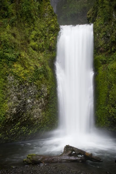 Multnomah Falls — Stock fotografie