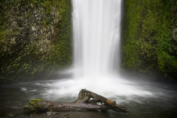 Quedas Multnomah — Fotografia de Stock