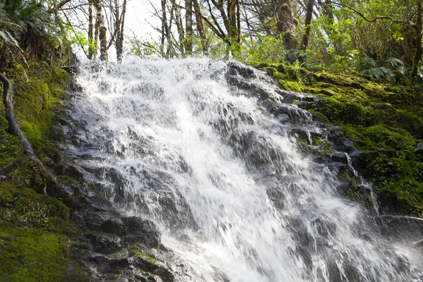 Ponte Creek Falls — Fotografia de Stock