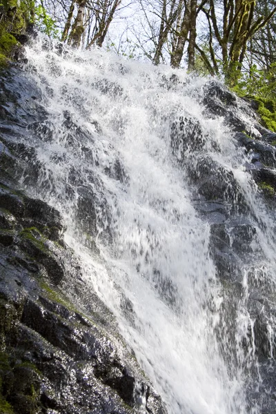 Bridge Creek Falls — Stock Photo, Image