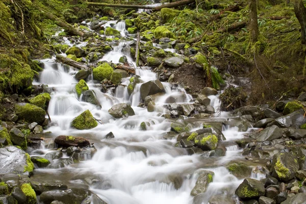 Cachoeira washington — Fotografia de Stock