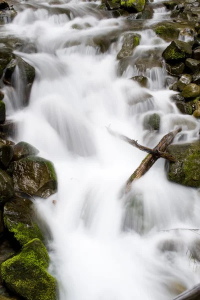 Washington Waterfall — Stock Photo, Image