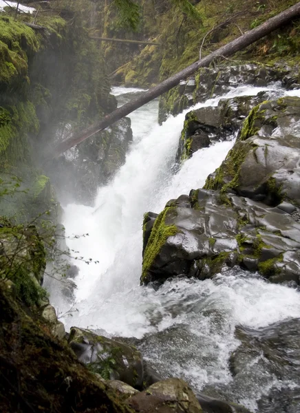 Sol duc Falls — Stock fotografie