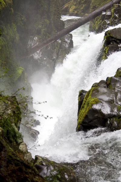 Sol Duc spada — Zdjęcie stockowe