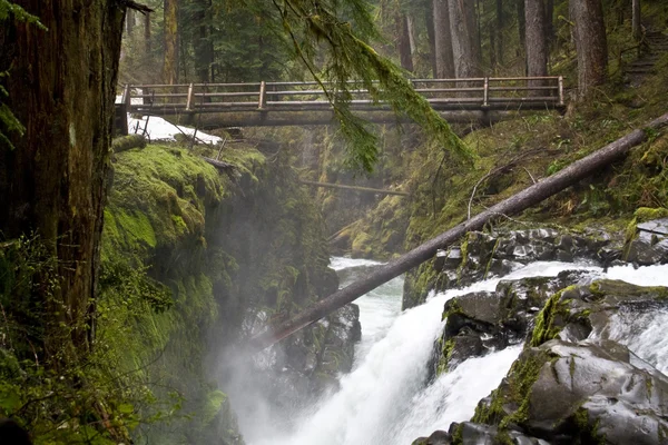 Sol duc Falls — Stock fotografie