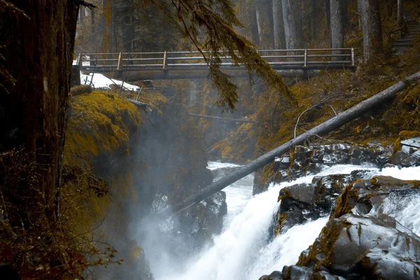 Sol Duc Falls — Stock Photo, Image