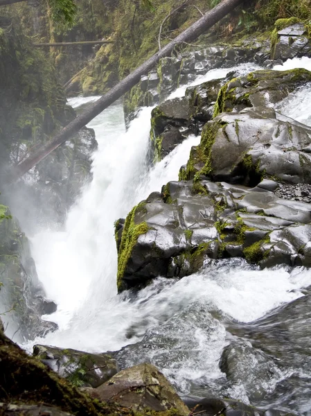 Sol duc Falls — Stock fotografie