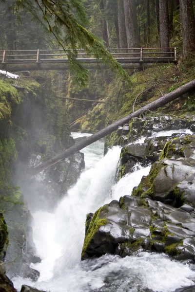 Sol duc Falls — Stock fotografie