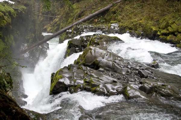 Sol duc Falls — Stock fotografie