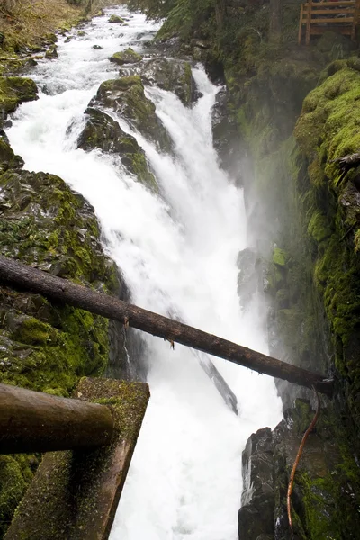 Sol Duc Falls — Stock Photo, Image