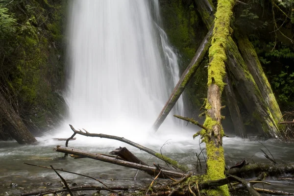 Cascate Wolf Creek — Foto Stock