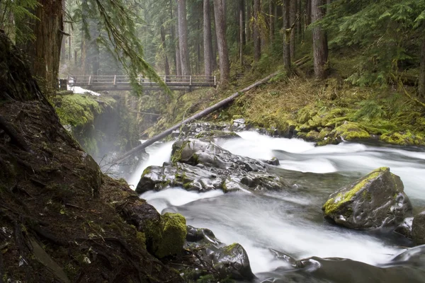 Sol duc 瀑布 免版税图库图片