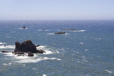 Oregon kıyılarında