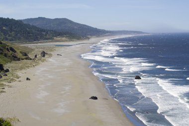 Oregon kıyılarında