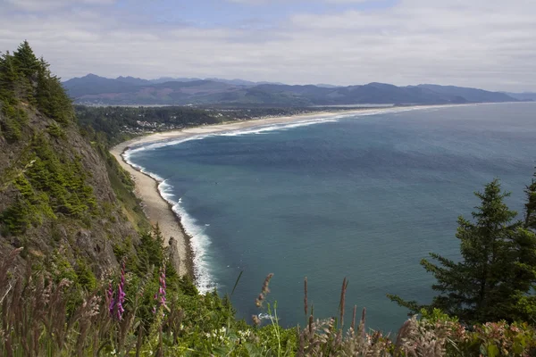 Oregonische Küste — Stockfoto