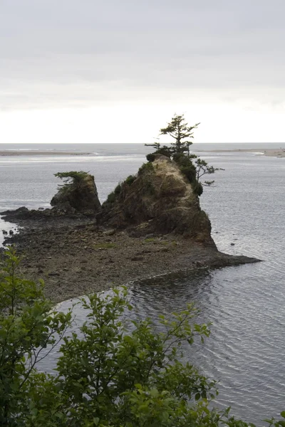 Oregon Coast — Stock Photo, Image