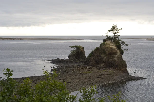 Oregon Coast — Stock Photo, Image