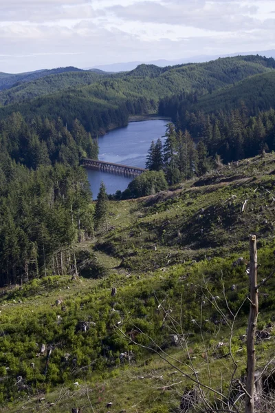 Lago Selvaggio — Foto Stock