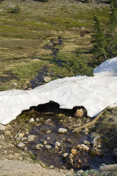 La nieve se derrite Imagen de stock