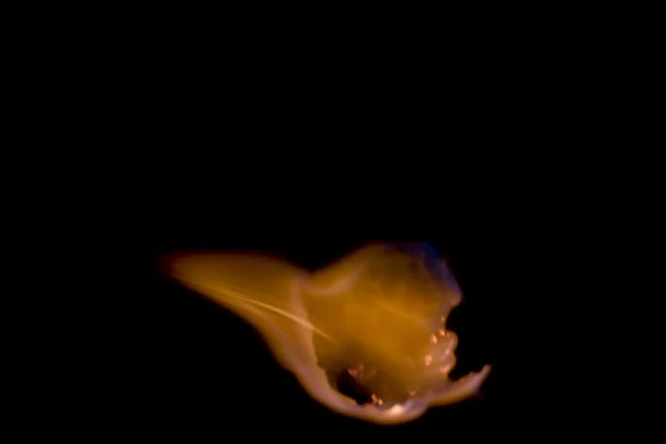 Flaming Marshmallow — Stock Photo, Image