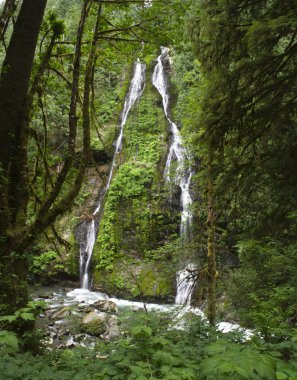 Özellik Haritayı Falls Panorama