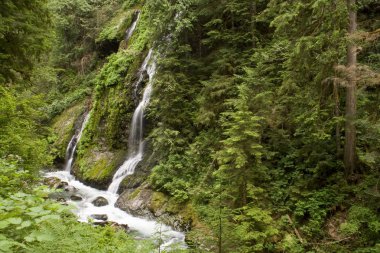 Özellik Haritayı Falls