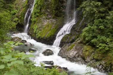 Özellik Haritayı Falls