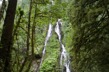 Özellik Haritayı Falls