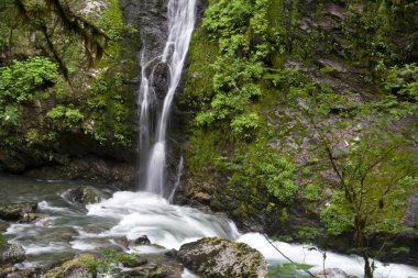 Özellik Haritayı Falls