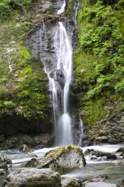 Özellik Haritayı Falls