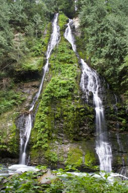 Özellik Haritayı Falls