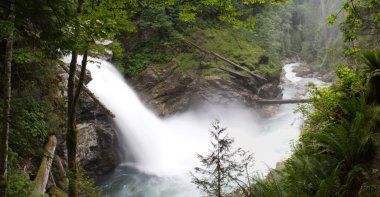 North Fork Falls Panoraması