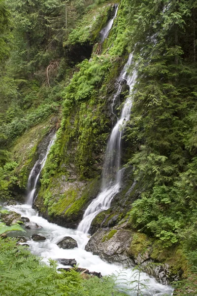 A szolgáltatás Térkép Falls — Stock Fotó