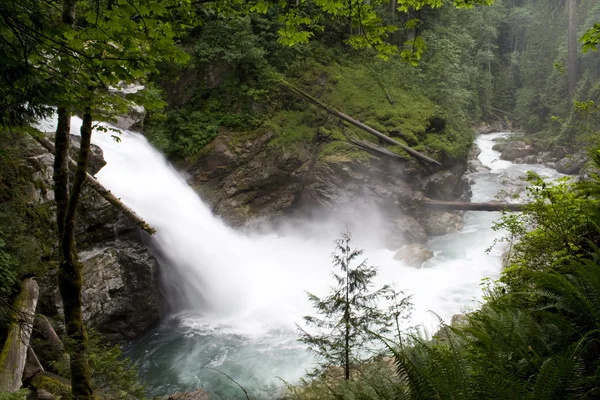 North Fork Falls — Stockfoto