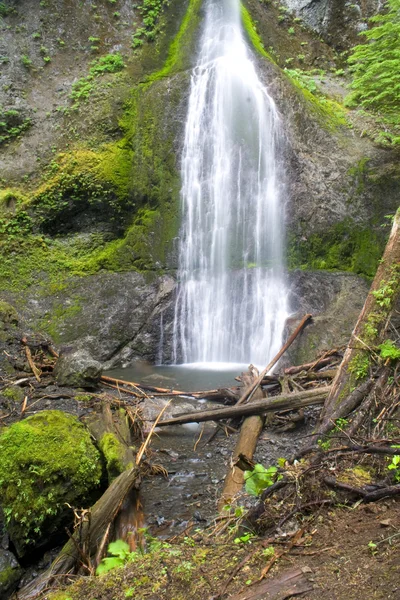 Marymere Falls — Stock Photo, Image