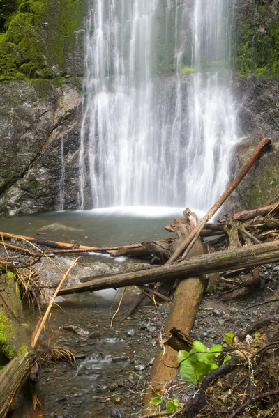 Marymere Falls — Stock Photo, Image