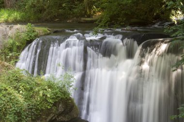 Whatcom Falls