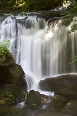 Whatcom Falls