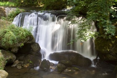 Whatcom Falls