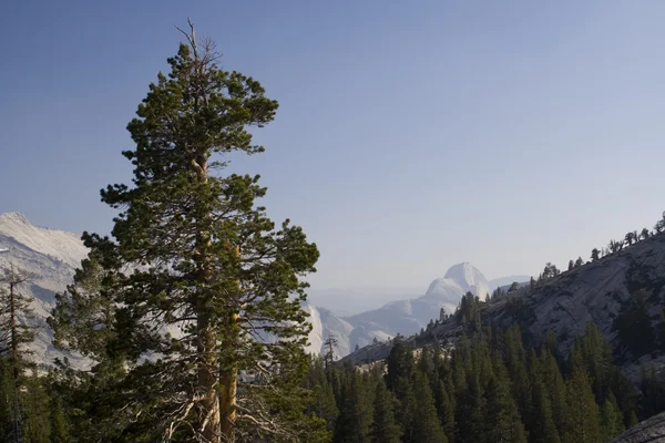 Yosemite landskap — Stockfoto