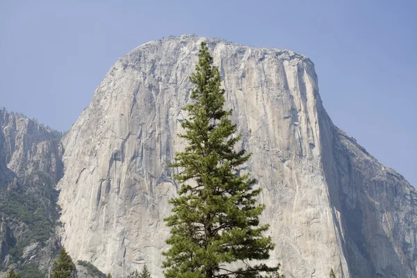 Yosemite Landscape — Stock Photo, Image