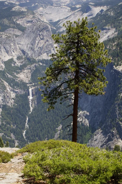 Yosemite landskap — Stockfoto