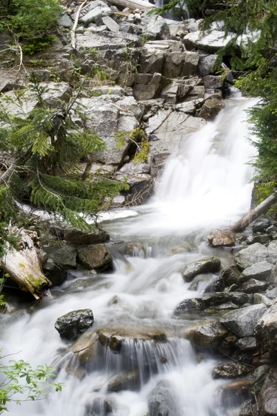 Pacific Northwest Waterfall