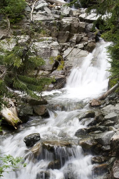 Pacific northwest waterval — Stockfoto