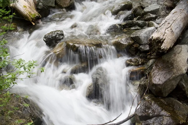 Pacific northwest waterval — Stockfoto