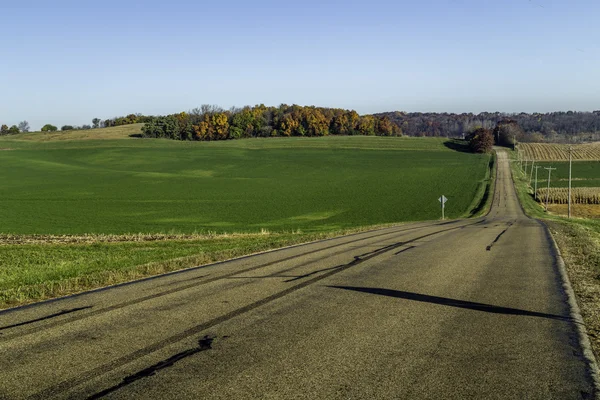 Country Road — Stock Photo, Image