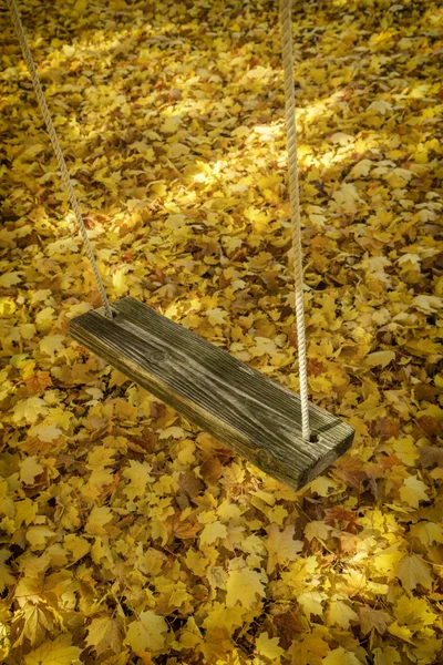 Swing and Leaves — Stock Photo, Image