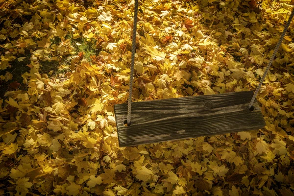 Swing and Leaves — Stock Photo, Image